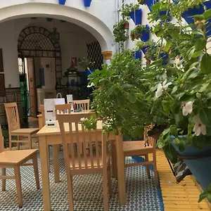 https://seneca-hostel.es-andalucia.com